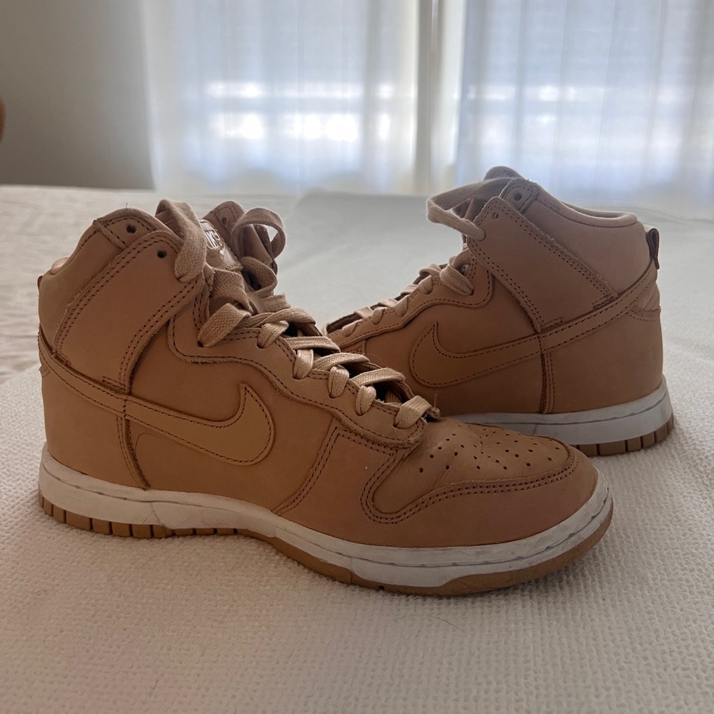 Nike dunk hi